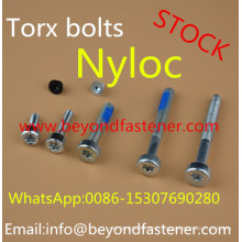 Nyloc Screw Bolts Machine Screw